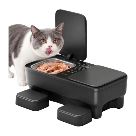 A cat eating from the open lid of the MeoWant PF06 automatic wet food feeder